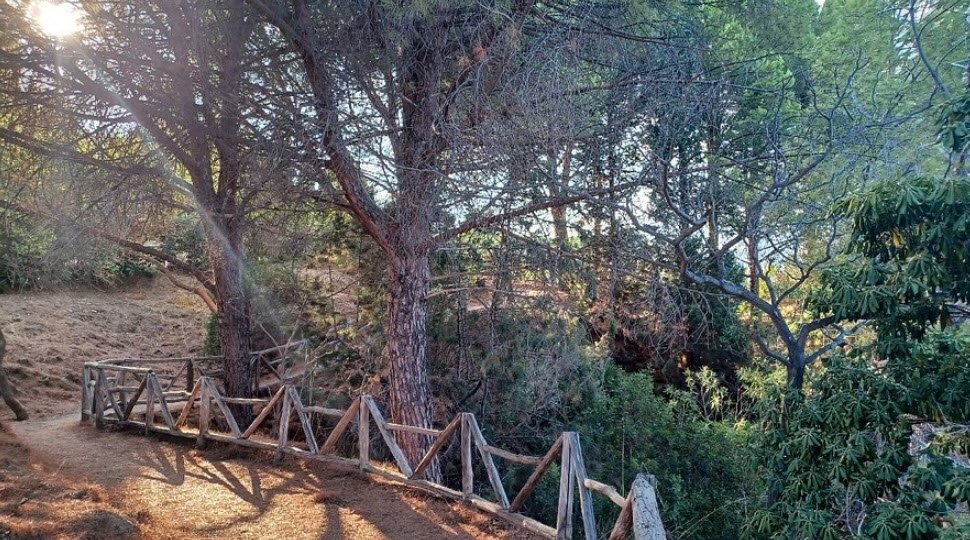 Giardino Botanico Santicelli, Soverato, Italy, Italy